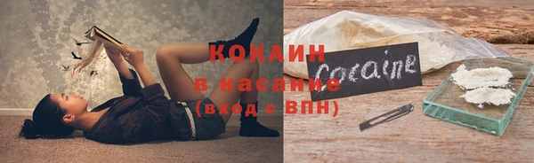 индика Магас