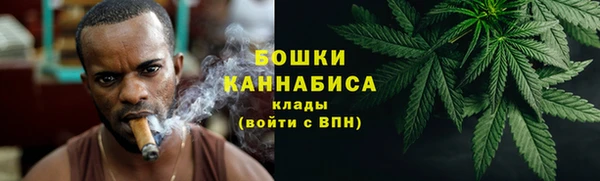 индика Магас