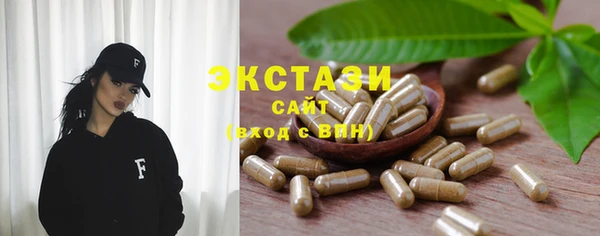 индика Магас
