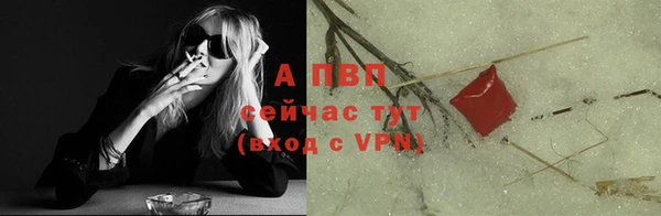 индика Магас