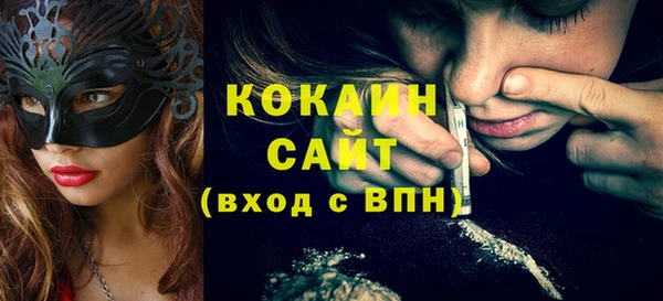 индика Магас