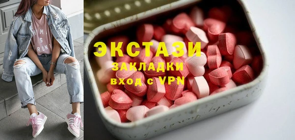 индика Магас