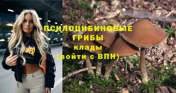индика Магас