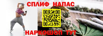 Альфа ПВП Гагарин