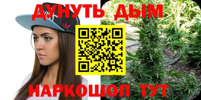 дживик Гатчина