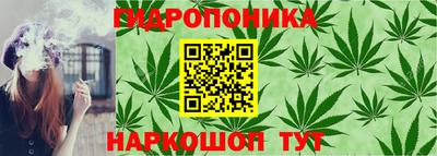 мдпв Гай
