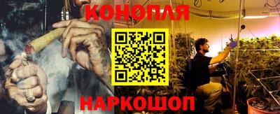 дживик Гатчина