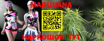 мдпв Гай