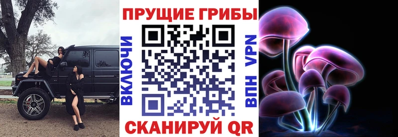 цены   Калининград  Галлюциногенные грибы Psilocybine cubensis 