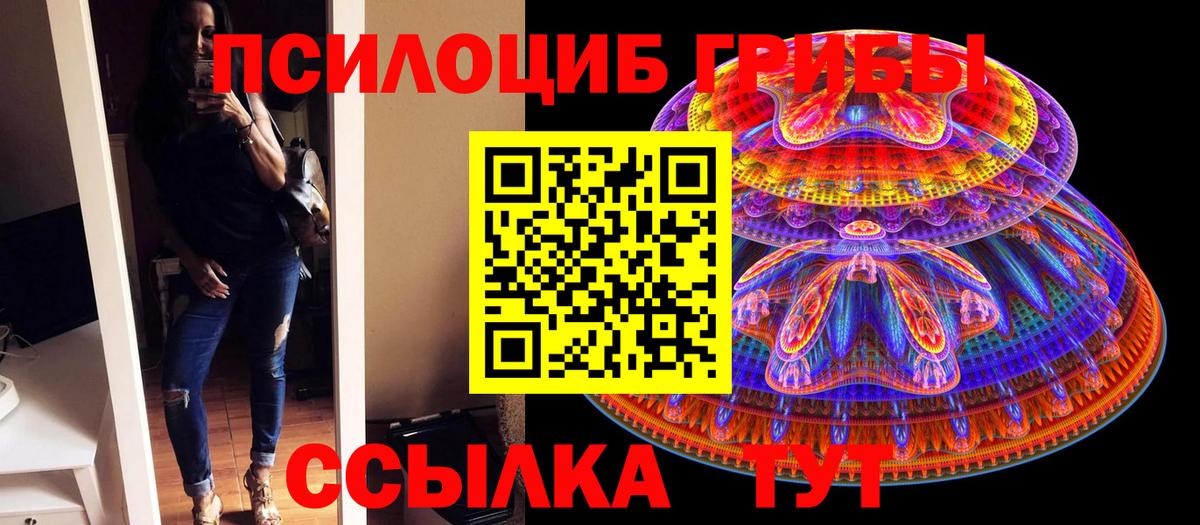 Псилоцибиновые грибы ЛСД  Псилоцибиновые грибы ЛСД  купить  сайты  Калининград  Вход с VPN 