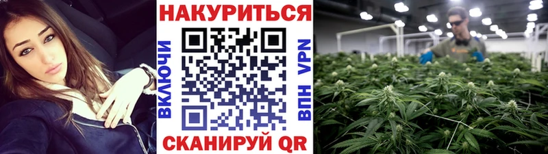 Канабис SATIVA & INDICA Калининград